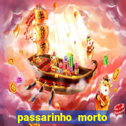 passarinho morto significado espiritual